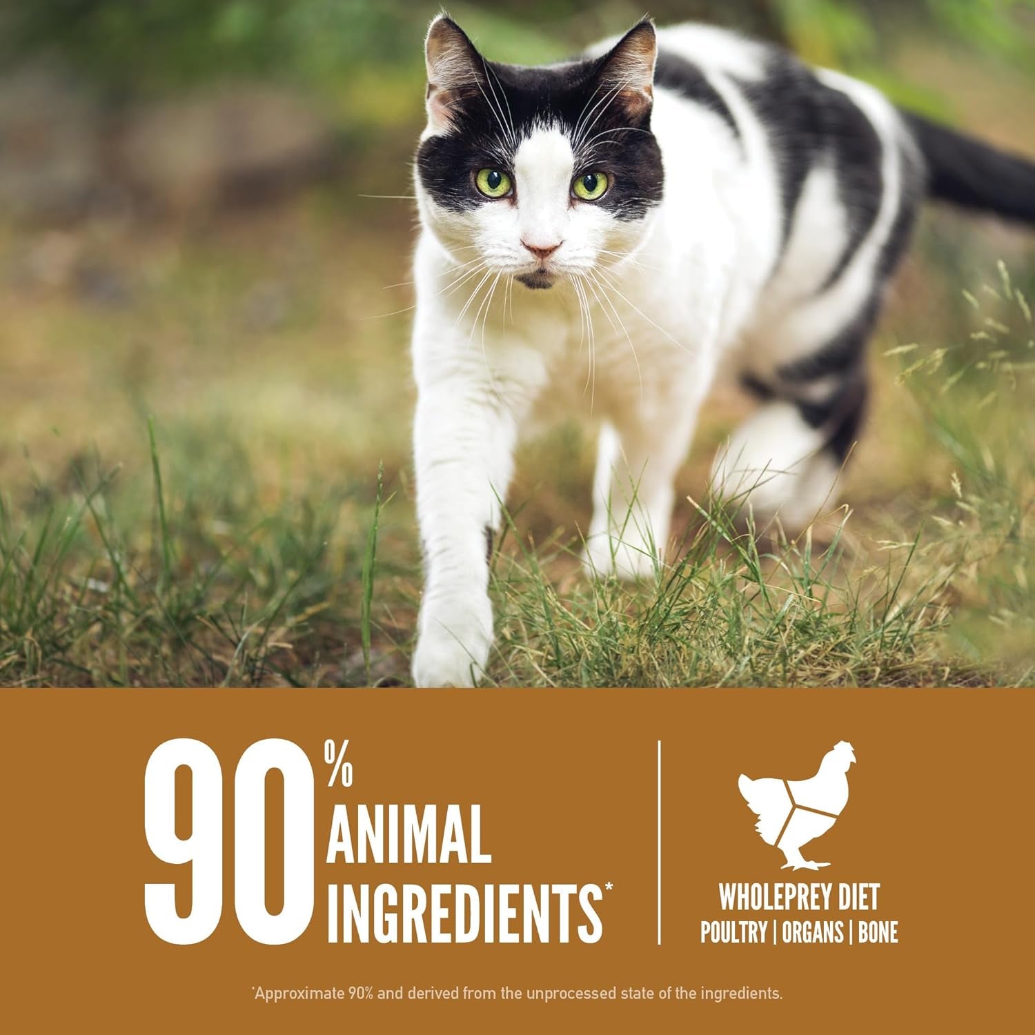 ® Dry Original Cat Food Premium, High Protein, Fresh & Raw Animal Ingredients, 4Lb